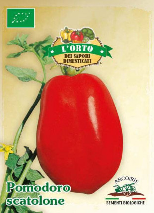 Tomato Scatolone - Organic Seeds