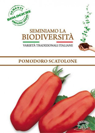 Tomato Scatolone - Organic Seeds