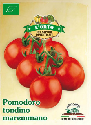 Tomato Tondino Maremmano - Organic Seeds
