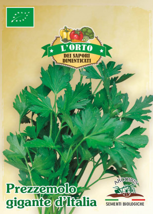 Parsley Gigante d'Italia - Organic Seeds