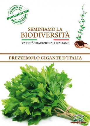 Prezzemolo Gigante D'Italia - Sementi Biologiche