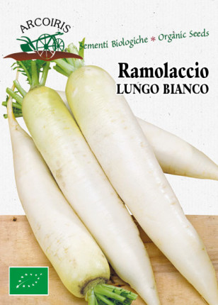 Ramolaccio Bianco Minoearly -  Sementi Biologiche