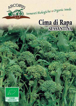 Turnip da Cime Sessantina - Organic Seeds