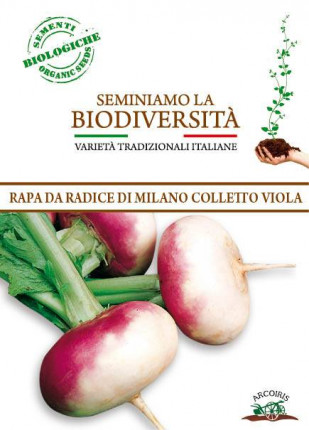 Turnip Da radice di Milano -  Organic Seeds
