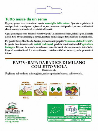 Turnip Da radice di Milano -  Organic Seeds