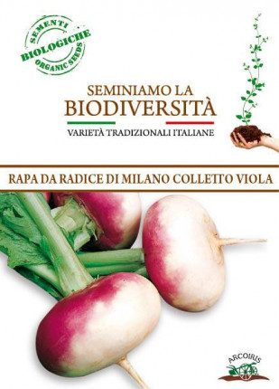 Rapa da Radice Di Milano - Sementi Biologiche