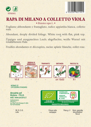 Turnip of Milano Colletto Viola - Organic Seeds