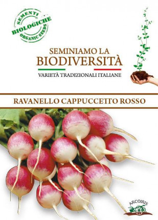 Radish Cappuccetto Rosso - Organic Seeds