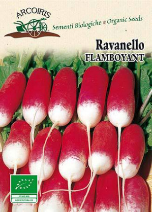 Radish Mezzo Lungo Flamboyant 3 -  Organic Seeds