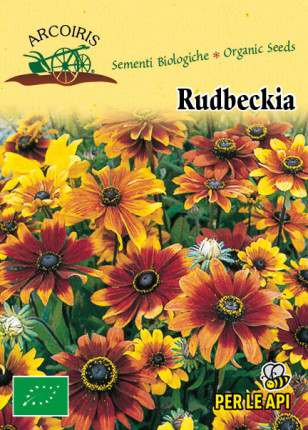 Rubdekia Hirta - Organic Seeds