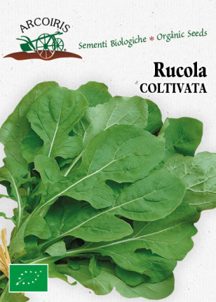 Cultivated Rocket  - Organic Seeds