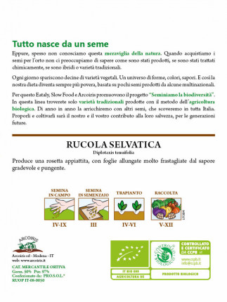 Rucola Selvatica - Sementi Biologiche