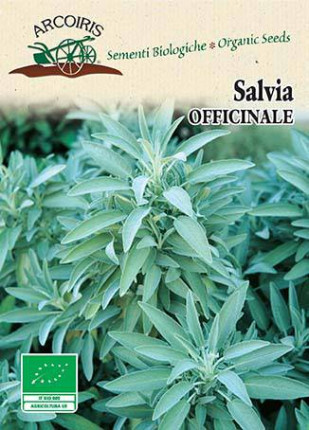 Salvia Officinale - Sementi Biologiche