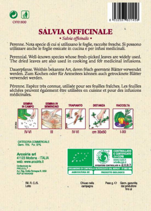 Salvia Officinale - Sementi Biologiche