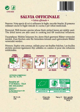 Salvia Officinale - Sementi Biologiche