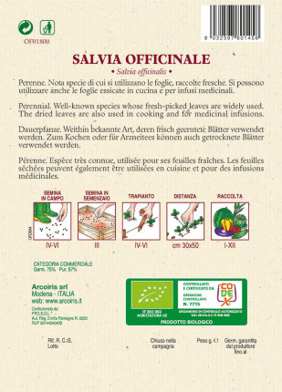 Sage Officinalis - Organic Seeds