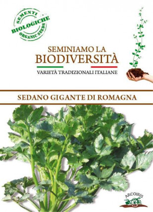 Celery Gigante Di Romagna - Organic Seeds