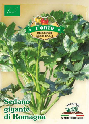 Celery Gigante Di Romagna - Organic Seeds