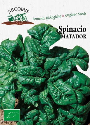 Spinach Matador -  Organic Seeds