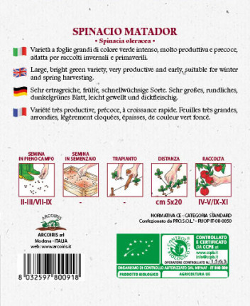 Spinach Matador -  Organic Seeds