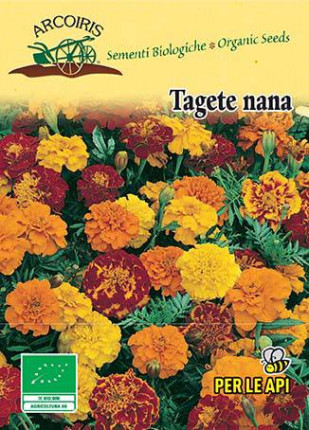 Tagete Nana - Sementi Biologiche