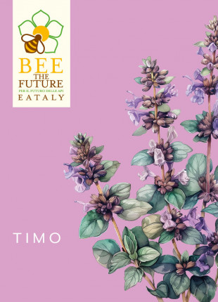 Timo Eataly - Sementi Biologiche