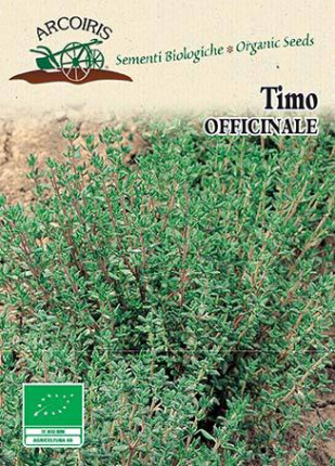 Thyme - Organic Seeds