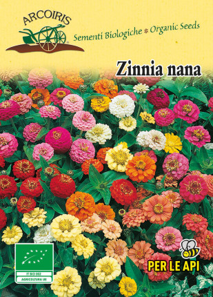 Zinnia Nana Thumbelina - Sementi Biologiche