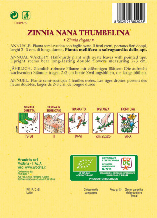 Zinnia Nana Thumbelina -  Organic Seeds