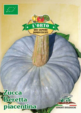 Pumpkin Berretta Piacentina - Organic Seeds