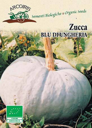Pumpkin Bleu Di Ungheria - De Hongrie -  Organic Seeds