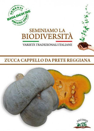 Zucca Cappello Da Prete Reggiana - Sementi Biologiche