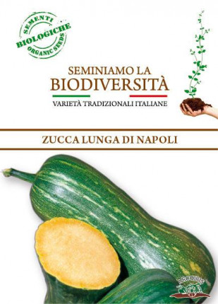 Zucca Moscata Lunga di Napoli - Sementi Biologiche