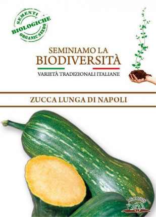 Pumpkin Moscata Lunga di Napoli - Organic Seeds