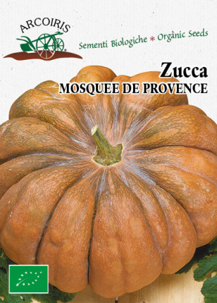 Pumpkin Mosquee De Provence - Organic Seeds