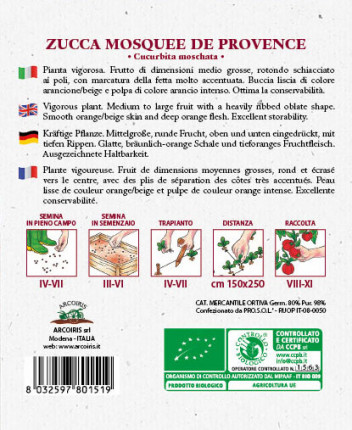 Zucca Mosquee De Provence - Sementi Biologiche