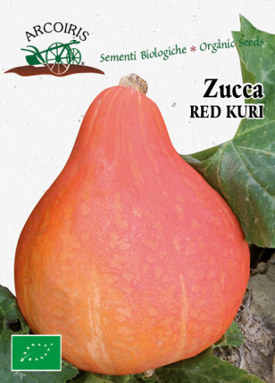 Pumpkin Red Kuri - Organic Seeds