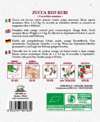 Zucca Red Kuri - Sementi Biologiche