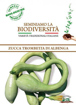 Zucca Trombetta di Albenga - Sementi Biologiche