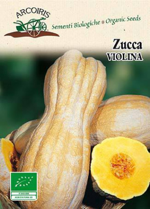 Pumpkin Violina - Organic Seeds
