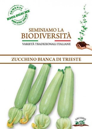 Zucchina Bianca di Trieste - Sementi Biologiche