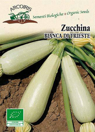 Zucchina Bianca Di Trieste - Sementi Biologiche