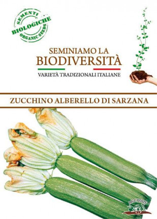 Zucchino Alberello Di Sarzana - Sementi Biologiche