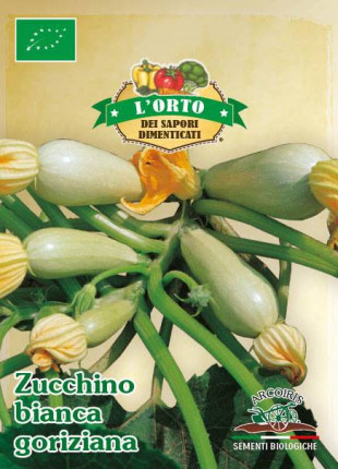 Zucchino Bianca Goriziana - Sementi Biologiche