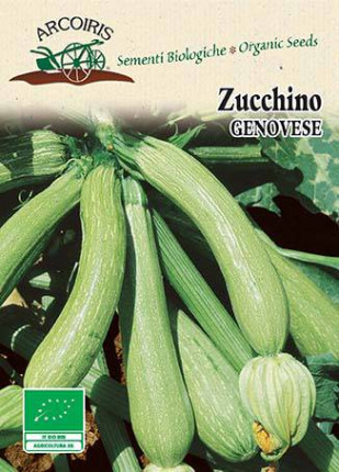 Squash Genovese - Organic Seeds