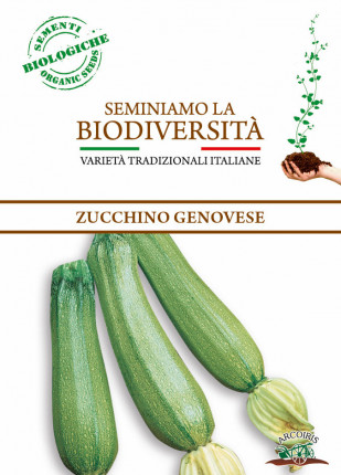 Zucchino Genovese - Sementi Biologiche