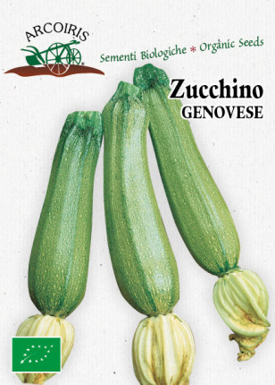 Zucchino Genovese - Sementi Biologiche