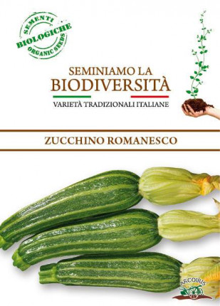 Zucchino Romanesco - Sementi Biologiche