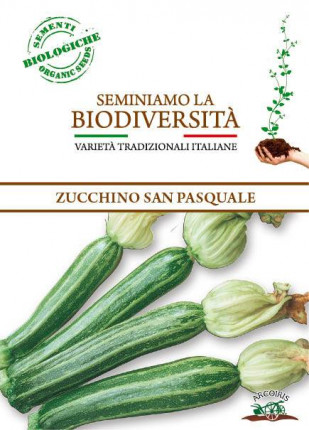 Squash San Pasquale - Organic Seeds