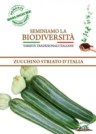 Zucchino Striato D'Italia - Sementi Biologiche
